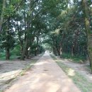 둔전5리 | 충주 탄금대 그리고 문경새재