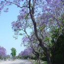 오동슈퍼 이미지