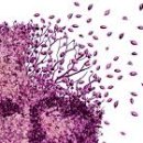 치매예방기체조 이미지