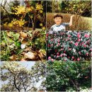 가작어린이공원 이미지