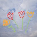 하늘그리기 | 챌린저스 하늘에 그림그리기 후기(추천인:소소시)