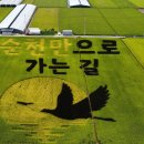 순천시 계절의 변화를 담아낸 ‘뜰 아트’ 시선 집중[e미래뉴스] 이미지