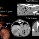 24시 모란동물 메디컬센터 이미지