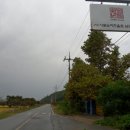 영산로 배롱나무길 이미지