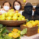 제주하우스 이미지