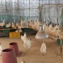 태성농장1 이미지