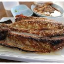 하루방식당 Daum카페