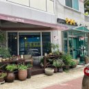 춘심이보리밥