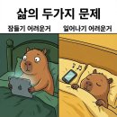 블루밍온 네이버블로그