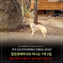 부귀산장민박 이미지