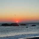 봉길대왕암(문무대왕릉) 이미지