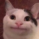 틀잡