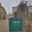 1월 17일 서울숲 이미지