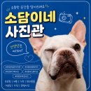 스튜디오소담 - 20160 | 의정부스튜디오 소담이네 사진관 펫프로필 찍고 온 솔직 후기
