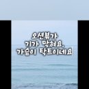 강릉커피여행