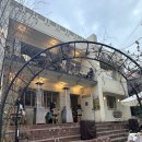 서울숲 성수 카페 테디스오븐- 귀여운 테디베어