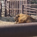 종보농장 이미지