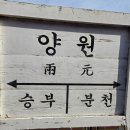 양원역 | 백두대간 협곡열차 V-train 후기 [분천역~철암역] 양원역 승부역 기차여행 추천