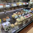 디엠본점(DM) 이미지