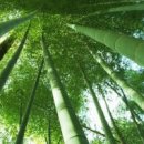 믿음자원 이미지