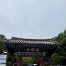 행복한찹쌀꽈베기 - 남구 서문대로 762 | 경주 & 부산여행 (6/23-26)