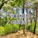 6월3일(토)서울대공원 장미원과 산림욕장 둘레길 이미지