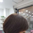 가즈헤어 이미지
