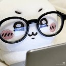 차윤 | [공지] 차윤 블로그 사용법🍀