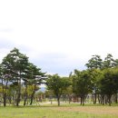 낙동강변22 이미지