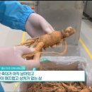 천고삼H&B