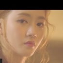 Stay here 이미지