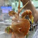 광명수산 나혜석거리점 이미지