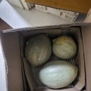 참샘골 | 농라 참샘골농원 백봉후기