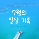 데이뷰네트웍스 | [대학생 일상기록] 7월의 여름 일상 기록