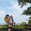 (주)서윤 | 화성 서봉산 등산 후기｜아기랑 다녀온 서봉산 정상 코스