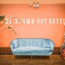 브라운도트거북섬점 이미지