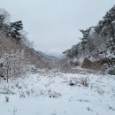 원주굽이길 원11코스 다둔인벌길 이미지