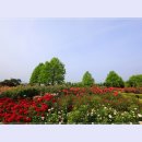 곡성-076 이미지