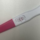 자연과한의원 상봉점 | [임밍아웃] 실제나이 20대 난소나이 40대의 자연임신 / 임신 극초기 증상