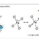 일신종합환경 - 2924 | 일신종합환경