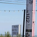 더멍102 이미지