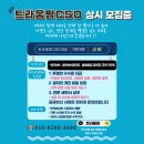 트라움컨설팅
