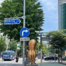 용두동이모쭈꾸미 이미지