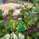 스툴 꾸미기 원데이 클래스 | 잠실 아쿠아가든 카페 원데이 클래스 (테라리움) 후기