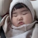 포시즌농장 | 수원 실내 농장체험 ❛ 포시즌 힐링팜 ❜ 주말나들이로 너무 좋아요