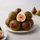 무화과네일