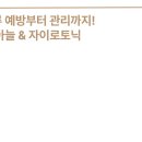 필라테스아늘&자이로토닉