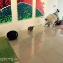 하슬라농장 이미지