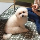 말랑 - 영동군 구교로 32-37 | 말랑