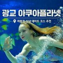 아쿠아플라넷 광교 | 수원 가볼만한곳 광교 "아쿠아플라넷 공연 후기" 여름 실내 데이트